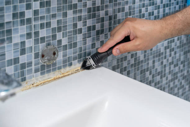Best Home Mold Removal  in Kewanee, IL