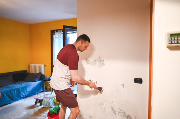 Best Mold Cleaning Services  in Kewanee, IL